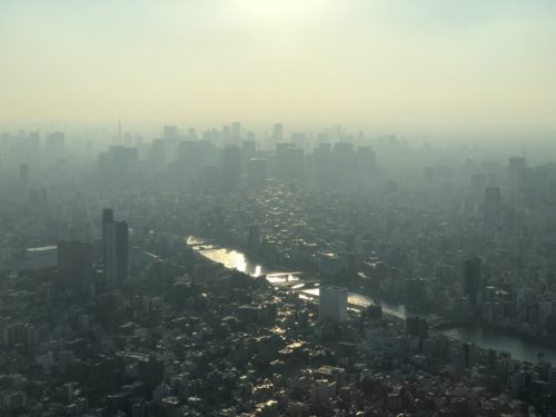 靄