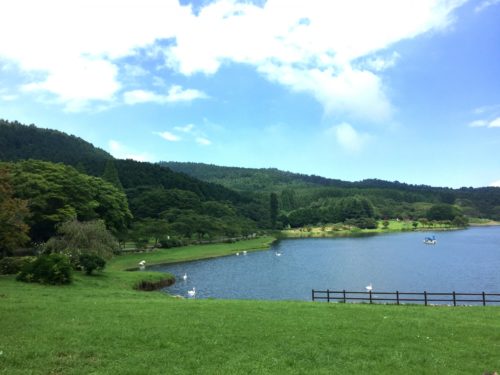 志高湖キャンプ