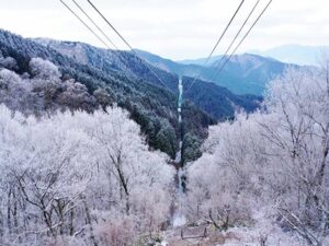 金剛山樹氷