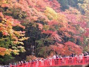 愛知県・香嵐渓