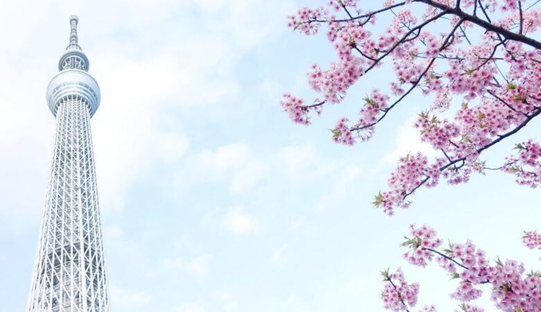 東京スカイツリーと桜の背景