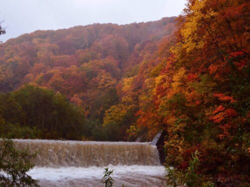 白神山地の紅葉