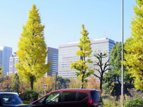 皇居周辺の風景