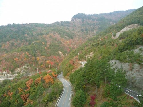 小豆島の紅葉