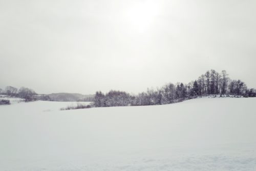 北海道の冬の風物詩 ニセコ
