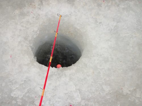ワカサギ釣り