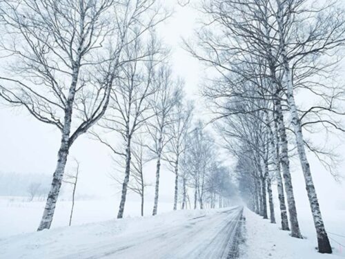 北海道の冬道