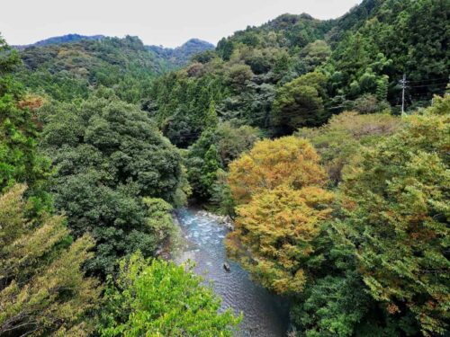 愛媛 霧の森 馬立川