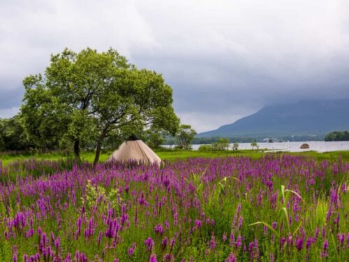 桧原湖にあるキャンプ場とテント