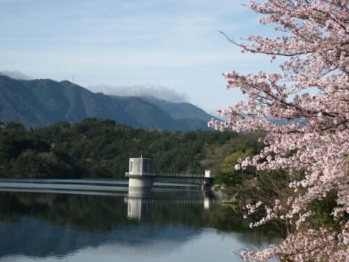 香川県仲多度郡まんのう町