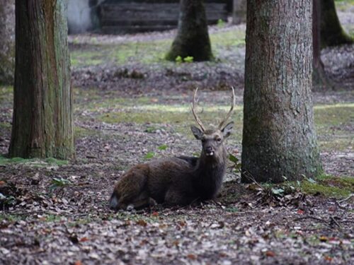 包ヶ浦自然公園