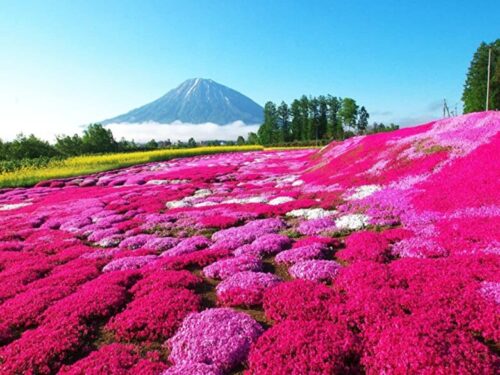 北海道ニセコ