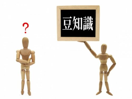 豆知識