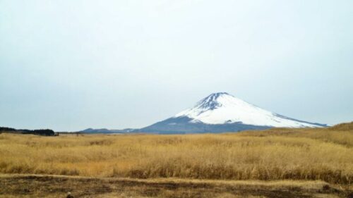 静岡　裾野　キャンプ