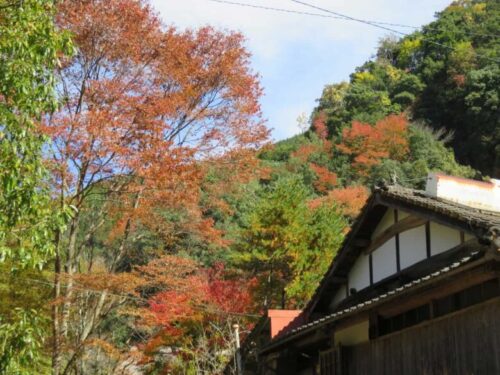 五家荘・五木村