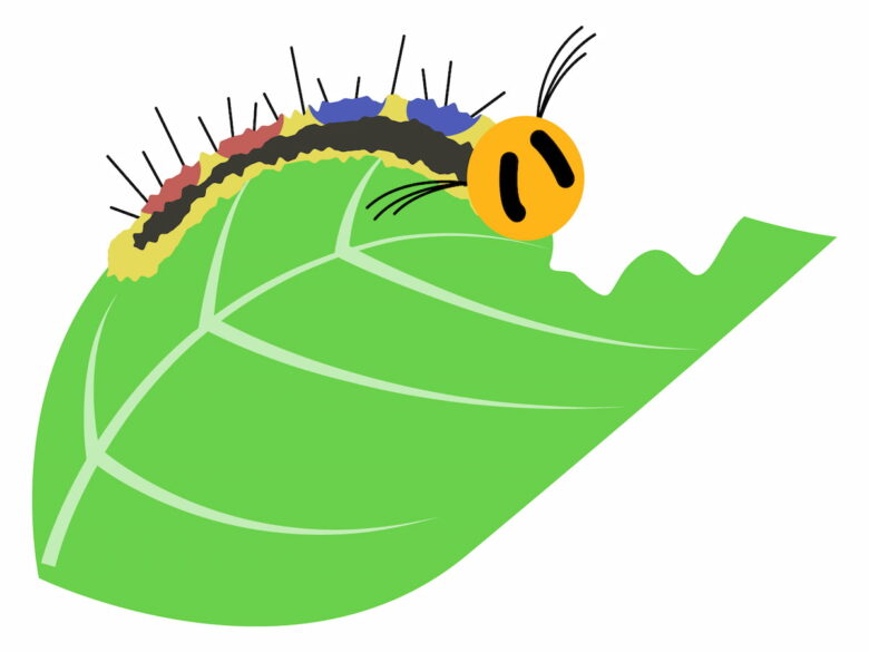 蛾の幼虫