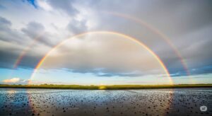 雨上がりの濡れた地面と、雲の切れ間から虹が見える空。